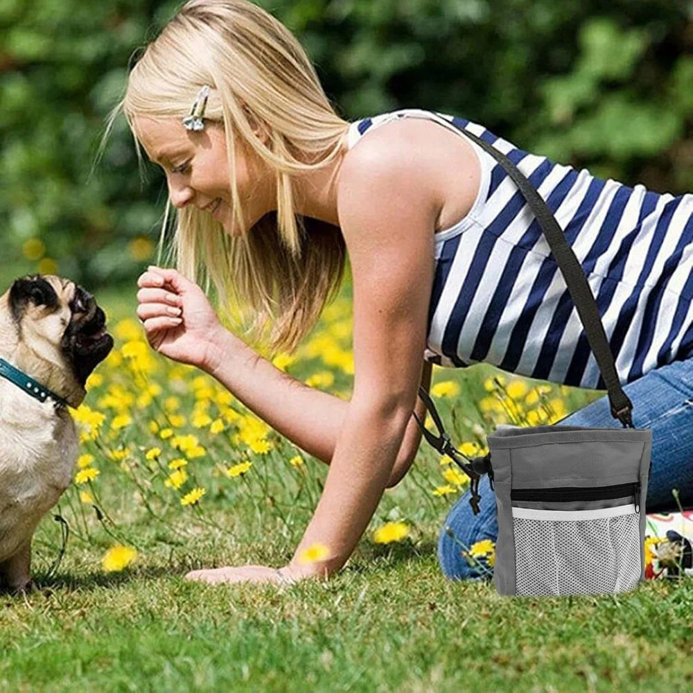 Gray Dog Treat Training Pouch